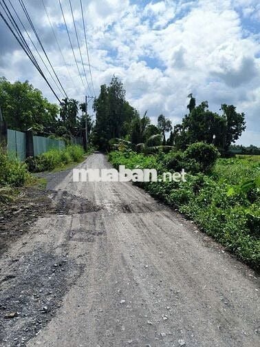 ĐẤT MẶT TIỀN ĐƯỜNG 171,DT:1330m2, SỔ HỒNG RIÊNG, CHỈ 7.9 TỶ