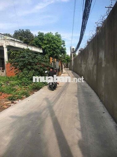 mình chính chủ cần bán lô đất trung tâm thị trấn Đức Hòa