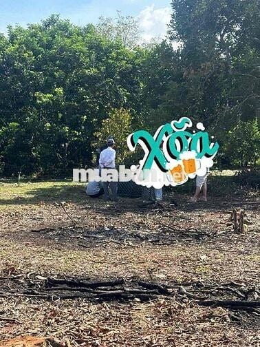 CHỐT LIỀN TAY NÀO CÁC ANH CHỊ ƠI - ĐẤT NỀN THỔ CƯ SỔ RIÊNG P. BÌNH LỘC