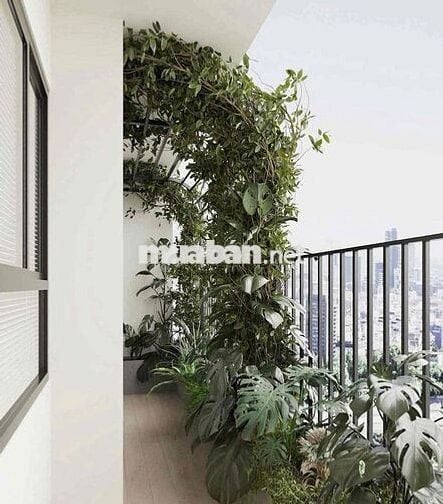 căn hộ NewSky - 55m2 - 2PN2NVS Nằm mặt tiền đường QL13 ngay METRO