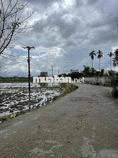 Chính chủ bán lô đất nền 110m2 sát đường ĐT 609, Xã Đại Cường, Đại Lộc