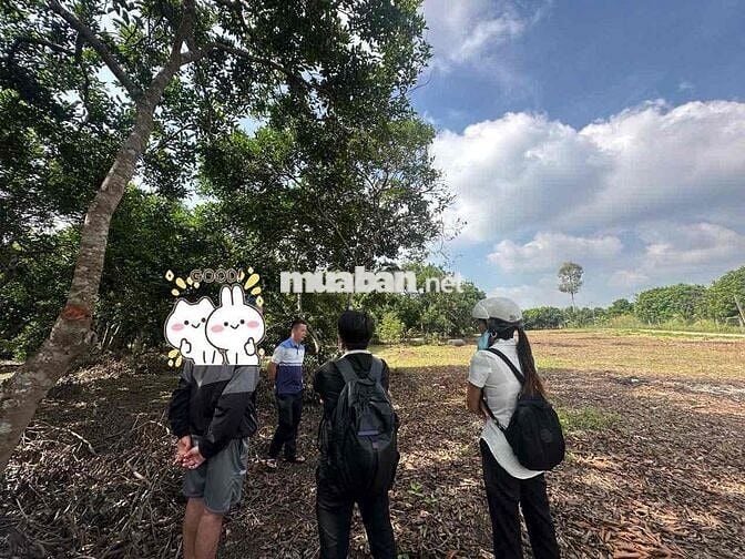 CHỐT LIỀN TAY NÀO CÁC ANH CHỊ ƠI - ĐẤT NỀN THỔ CƯ SỔ RIÊNG P. BÌNH LỘC