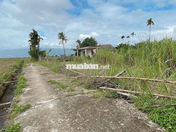 Chính chủ bán lô đất nền 110m2 sát đường ĐT 609, Xã Đại Cường, Đại Lộc