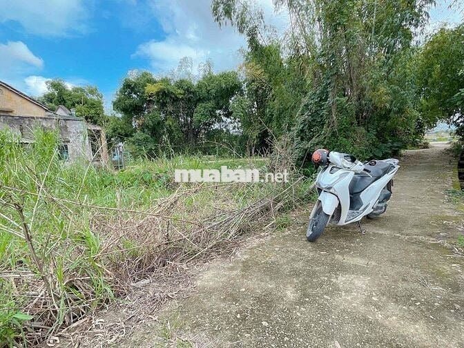 Chính chủ bán lô đất nền 110m2 sát đường ĐT 609, Xã Đại Cường, Đại Lộc