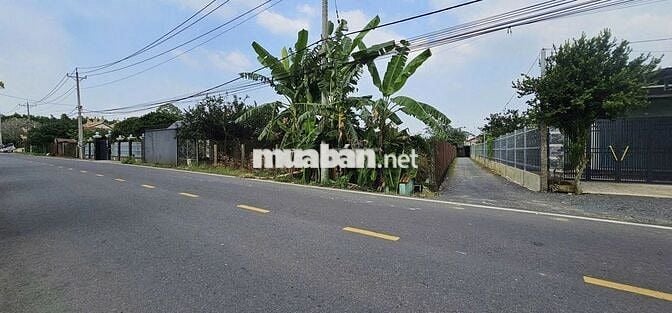 CHỦ CẦN BÁN GẤP CẶP ĐẤT LIỀN KỀ NGAY MẶT TIỀN ĐƯỜNG LỚN