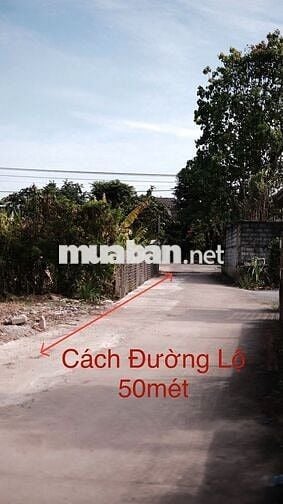 ❌Em còn cặp đất 14x14m cho anh chi xây biệt thự mini, nhà vườn,…