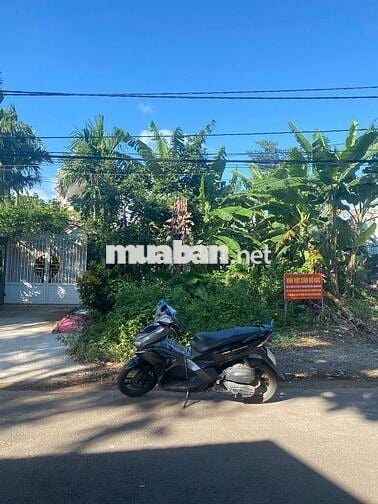 Đất Vàng Mặt Tiền Mai Hắc Đế - Siêu Vip!