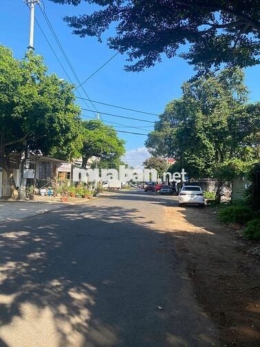 Đất Vàng Mặt Tiền Mai Hắc Đế - Siêu Vip!