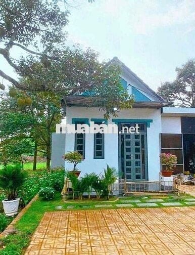 🌼 CÔ TUYẾT NHƯỢNG LẠI LÔ ĐẤT ĐẸP– AI NGHE CŨNG GIẬT MÌNH 🌼