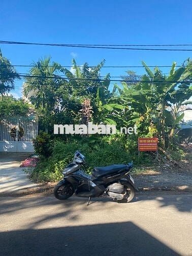 Đất Vàng Mặt Tiền Mai Hắc Đế - Siêu Vip!