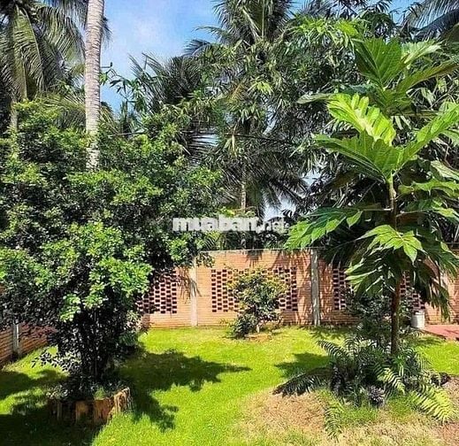 🌼 CÔ TUYẾT NHƯỢNG LẠI LÔ ĐẤT ĐẸP– AI NGHE CŨNG GIẬT MÌNH 🌼