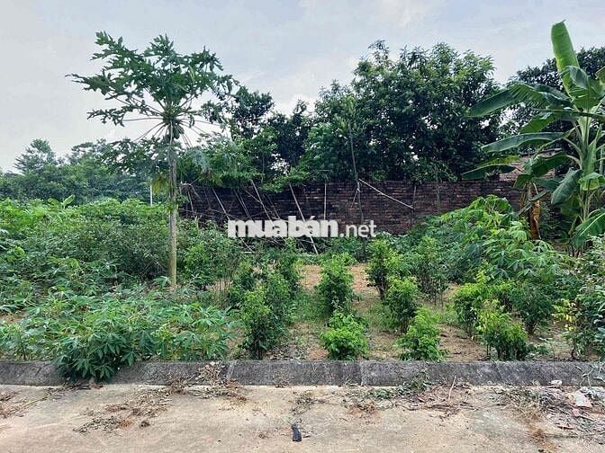 chỉ 35tr/m2 ace cho ngay 1 mảnh đất rộng rãi là 103,8 m2