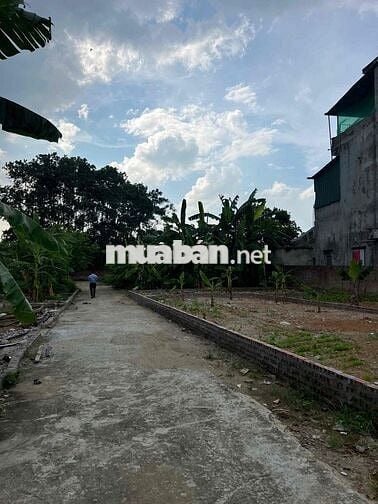 chỉ 35tr/m2 ace cho ngay 1 mảnh đất rộng rãi là 103,8 m2