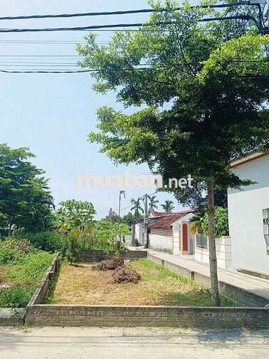 EM TRAI CÓ MẢNH ĐẤT MUỐN BÁN NHANH TẠI HÒA LẠC