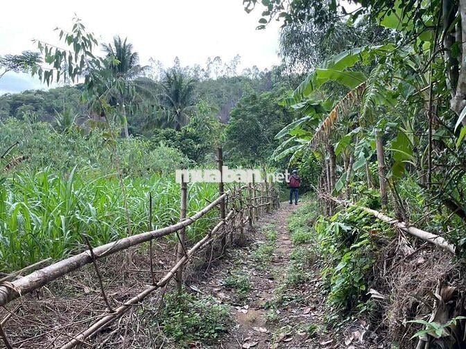 180 TRIỆU – 2 SỔ ĐỎ – 2.700m² GIÁP SUỐI PHÚ YÊN