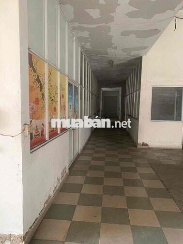 Cần cho thuê MTKD ngang 10m Đường Lê Đức Thọ,p15 Gò Vấp Cũ