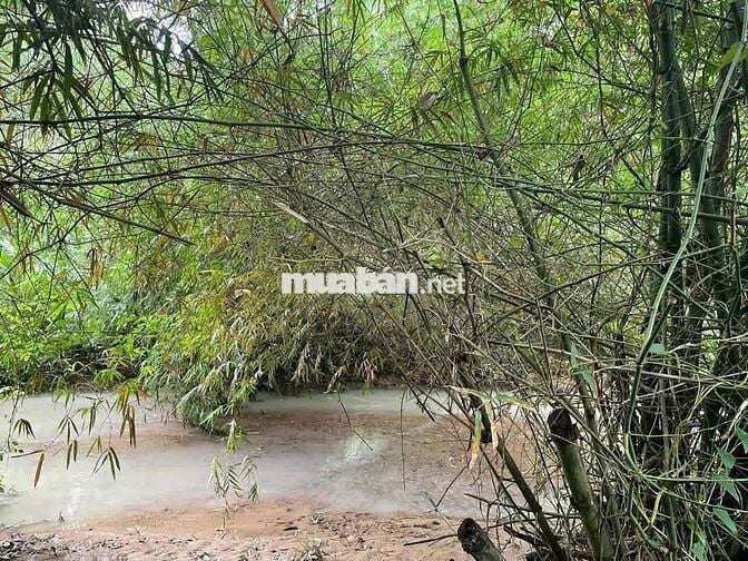 180 TRIỆU – 2 SỔ ĐỎ – 2.700m² GIÁP SUỐI PHÚ YÊN