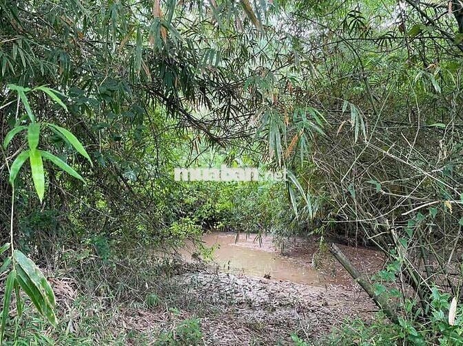 180 TRIỆU – 2 SỔ ĐỎ – 2.700m² GIÁP SUỐI PHÚ YÊN