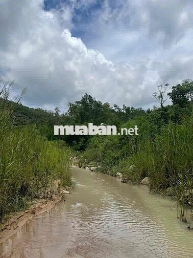 180 TRIỆU – 2 SỔ ĐỎ – 2.700m² GIÁP SUỐI PHÚ YÊN