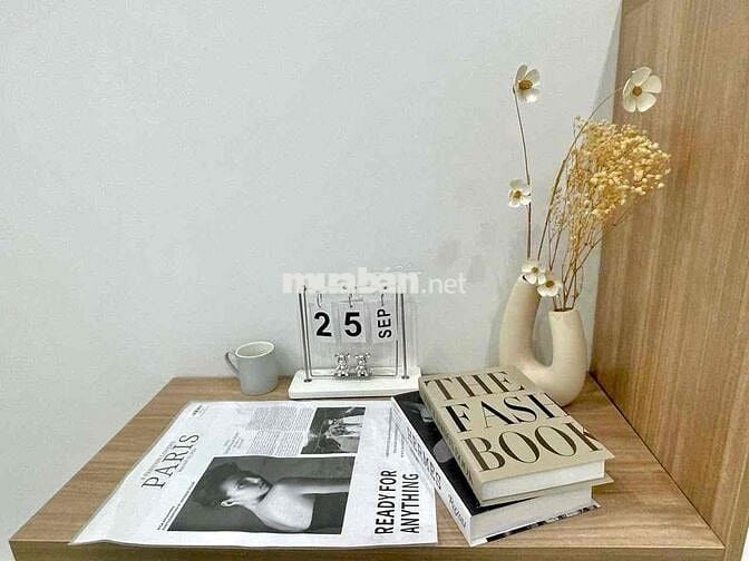 Chdv cho thuê full nội thất, thang máy, gần sân bay Tân Bình, HCM