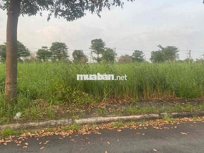 Mua bán ký gửi nhà đất Long Hậu. Đầu tư và phát triển