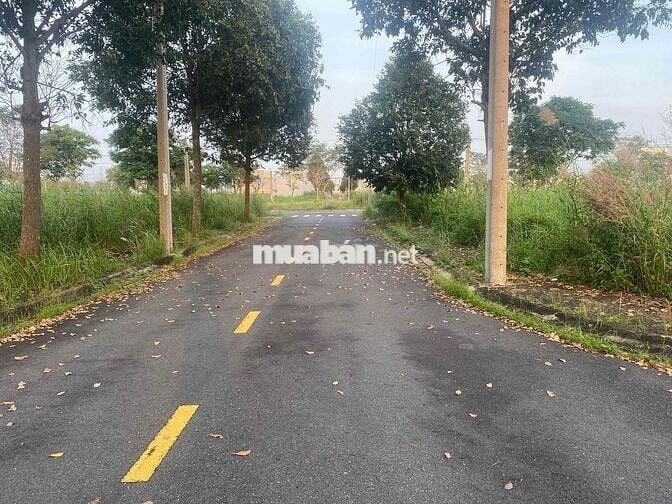 Mua bán ký gửi nhà đất Long Hậu. Đầu tư và phát triển