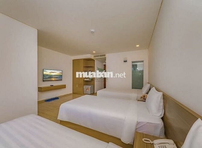 CHO THUÊ TOÀ KHÁCH SẠN LÔ GÓC 40 PHÒNG CÓ PCCC ĐẦY ĐỦ KHU AN BÌNH TÂN