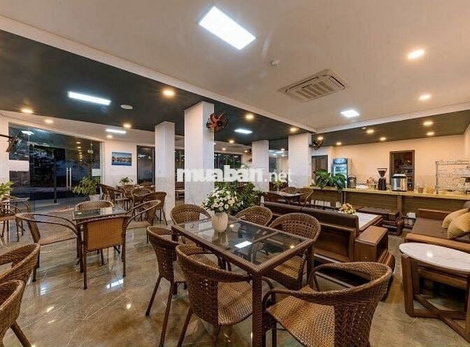 CHO THUÊ TOÀ KHÁCH SẠN LÔ GÓC 40 PHÒNG CÓ PCCC ĐẦY ĐỦ KHU AN BÌNH TÂN