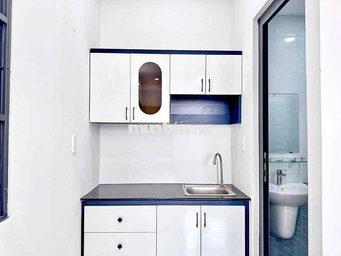 cho thuê căn hộ dịch vụ Q1, Trần Đình Xu, ban công, full nội thất