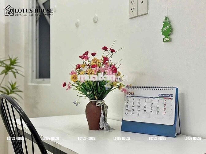 Trống sẵn Căn Studio Full Nội Thất - Ngay F10 - Tân Bình - Giáp VHU🎉