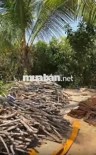 CHÍNH CHỦ BÁN LÔ ĐẤT GIÁ CHỈ 600 TRIỆU  ẤP BẾN TRÀM, CỬA DƯƠNG, PHÚ QU