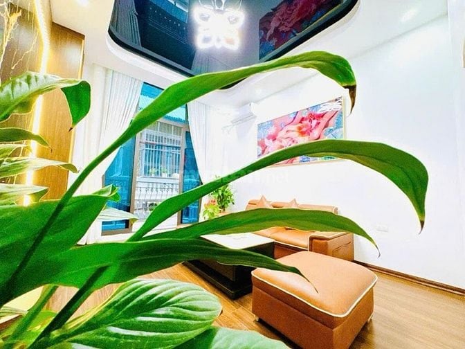 🌹BÁN NHÀ PHỐ TRƯỜNG CHINH-LÔ GÓC- NGÕ THÔNG KINH DOANH- Ô TÔ ĐỖ CỬA