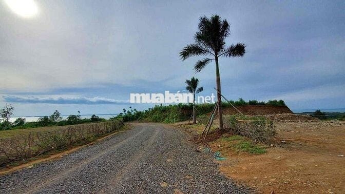 CẦN BÁN ĐẤT TRỒNG CÂY - HỒ TRỊ AN