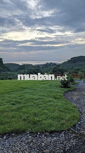 CẦN BÁN ĐẤT TRỒNG CÂY - HỒ TRỊ AN