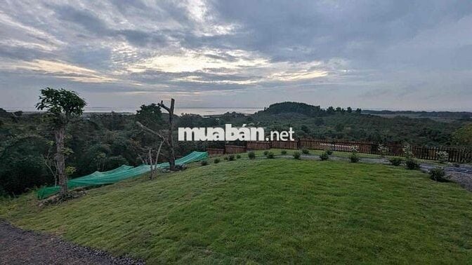 CẦN BÁN ĐẤT TRỒNG CÂY - HỒ TRỊ AN