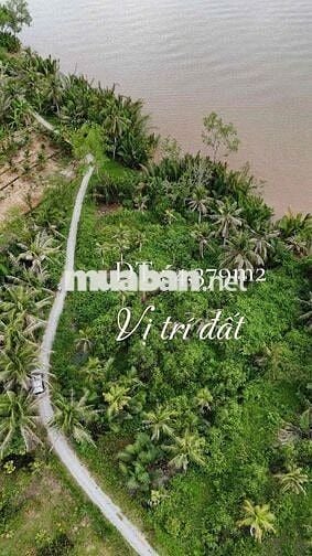 🌱 Mặt tiền sông MeKong Chỉ 350tr/ công (1,000m²).                 Diện