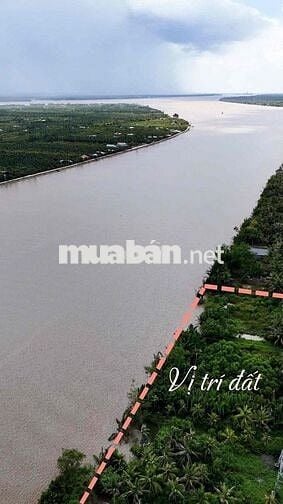 🌱 Mặt tiền sông MeKong Chỉ 350tr/ công (1,000m²).                 Diện