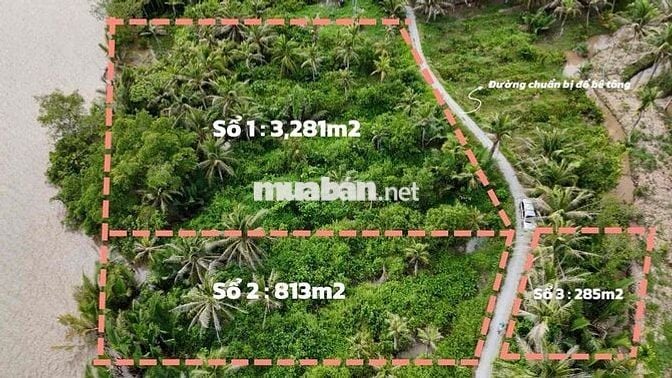 🌱 Mặt tiền sông MeKong Chỉ 350tr/ công (1,000m²).                 Diện