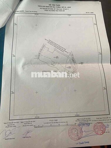 🌱 Mặt tiền sông MeKong Chỉ 350tr/ công (1,000m²).                 Diện