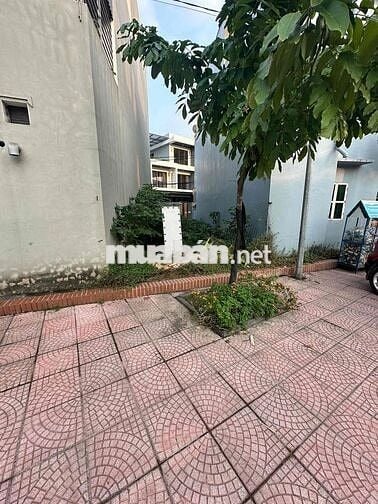 trục chính kinh doanh ô tô tránh tại nghĩa lại uy nỗ đông anh