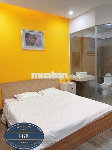 Chính chủ cần cho thuê căn hộ đầy đủ nội thất ngay cần Trần Thị Lý