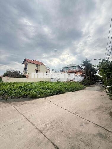 BÁN ĐẤT XÂY BIỆT THỰ THẠNH XUÂN Q12 542m GIÁP GÒ VẤP