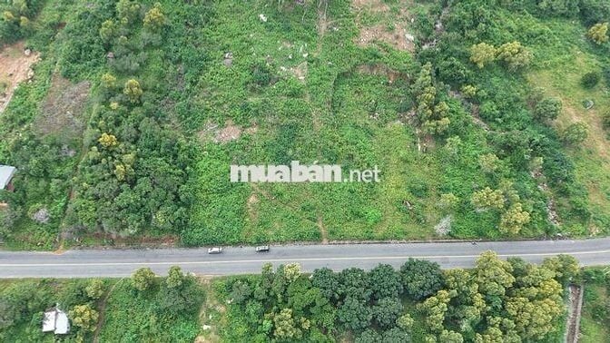 CHỦ KẸT VỐN CẦN BÁN GẤP ĐẤT MẶT TIỀN VEN BIỂN HIỆP KIẾT BÌNH TIÊN