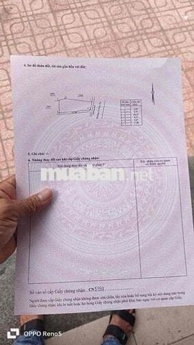 BÁN ĐẤT CÓ SẴN NHÀ XƯỞNG – MẶT TIỀN ĐƯỜNG CÂY DƯỚI, DIÊN AN