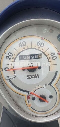 SYM Elite 50cc 2019 Xanh trắng