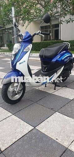 SYM Elite 50cc 2019 Xanh trắng
