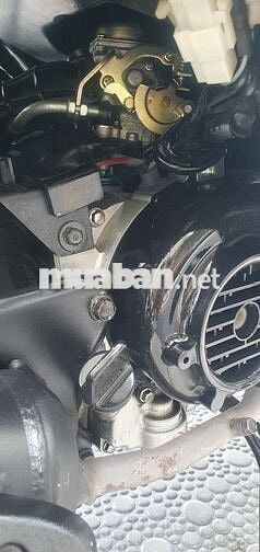 SYM Elite 50cc 2019 Xanh trắng