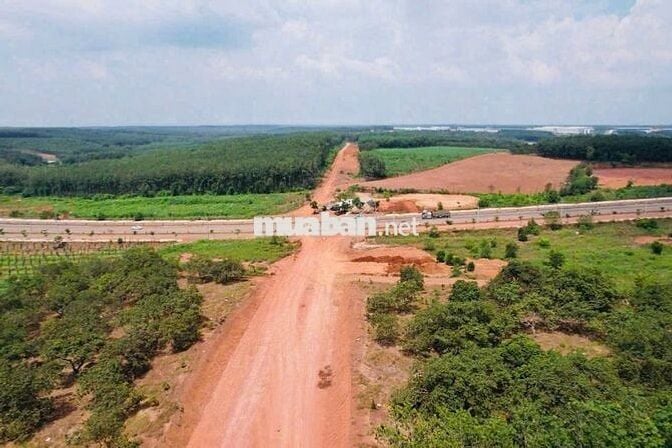 Đất mặt nhựa 32m, cạnh kcn,4200ha, 6 x40, 300m thổ cư giá 600tr