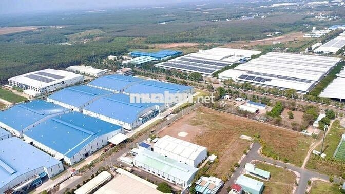 Đất mặt nhựa 32m, cạnh kcn,4200ha, 6 x40, 300m thổ cư giá 600tr
