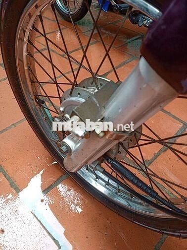 Honda Dream II Tím Trắng